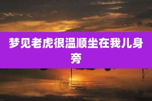 梦见老虎很温顺坐在我儿身旁