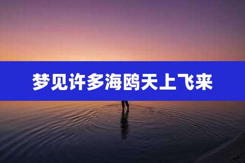 梦见许多海鸥天上飞来