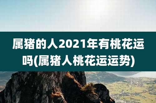 属猪的人2021年有桃花运吗(属猪人桃花运运势)