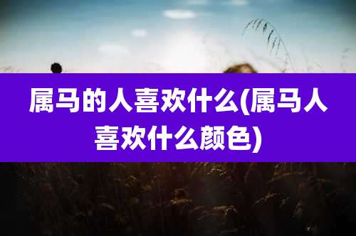 属马的人喜欢什么(属马人喜欢什么颜色)