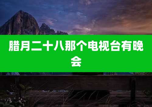腊月二十八那个电视台有晚会