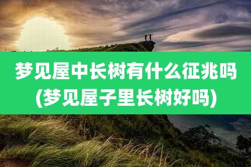 梦见屋中长树有什么征兆吗(梦见屋子里长树好吗)