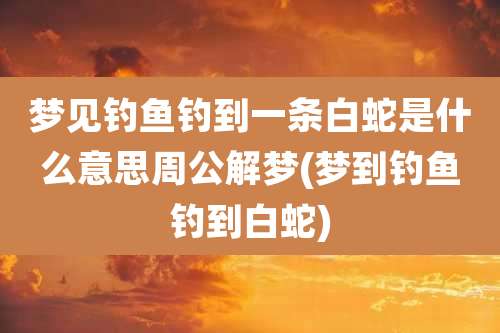 梦见钓鱼钓到一条白蛇是什么意思周公解梦(梦到钓鱼钓到白蛇)