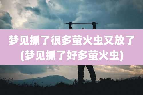 梦见抓了很多萤火虫又放了(梦见抓了好多萤火虫)