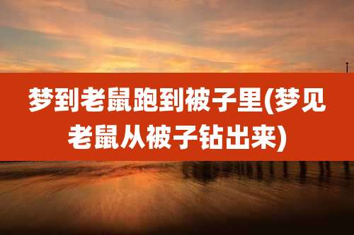 梦到老鼠跑到被子里(梦见老鼠从被子钻出来)