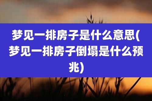 梦见一排房子是什么意思(梦见一排房子倒塌是什么预兆)