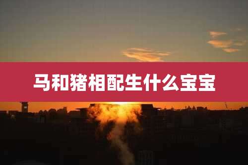 马和猪相配生什么宝宝