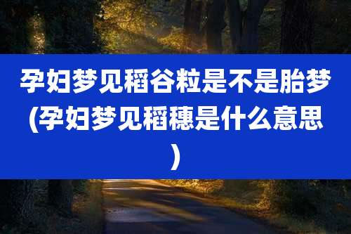 孕妇梦见稻谷粒是不是胎梦(孕妇梦见稻穗是什么意思)