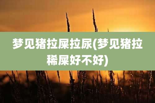 梦见猪拉屎拉尿(梦见猪拉稀屎好不好)