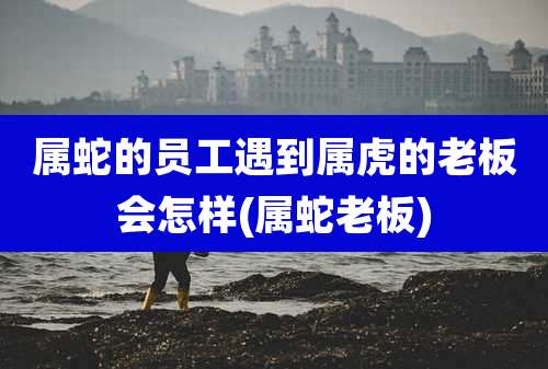 属蛇的员工遇到属虎的老板会怎样(属蛇老板)