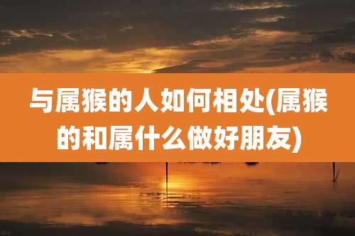 与属猴的人如何相处(属猴的和属什么做好朋友)