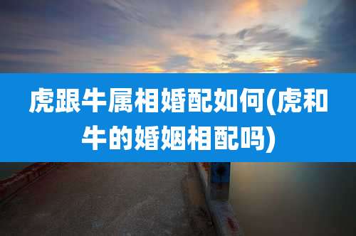 虎跟牛属相婚配如何(虎和牛的婚姻相配吗)