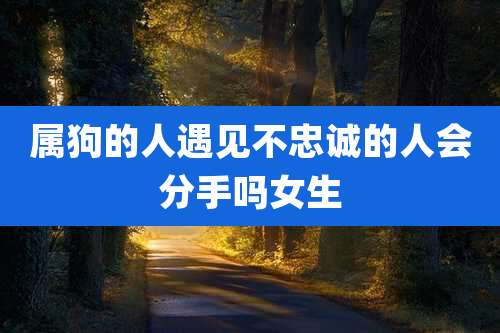 属狗的人遇见不忠诚的人会分手吗女生