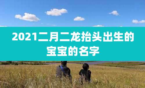 2021二月二龙抬头出生的宝宝的名字