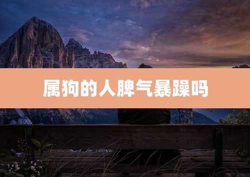 属狗的人脾气暴躁吗