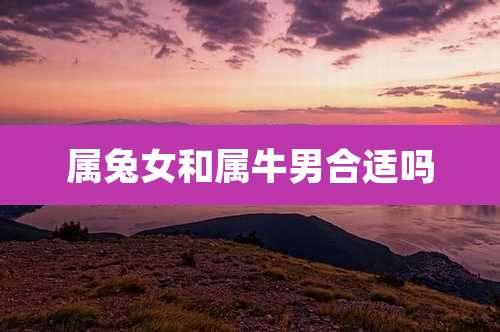 属兔女和属牛男合适吗