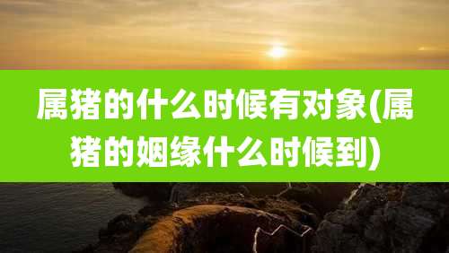 属猪的什么时候有对象(属猪的姻缘什么时候到)