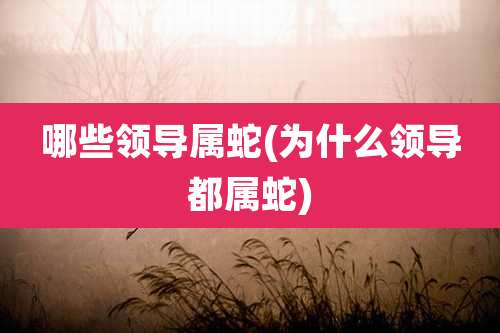 哪些领导属蛇(为什么领导都属蛇)