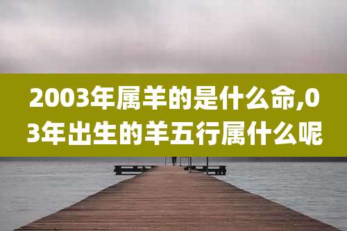 2003年属羊的是什么命,03年出生的羊五行属什么呢
