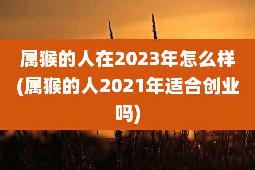属猴的人在2023年怎么样(属猴的人2021年适合创业吗)