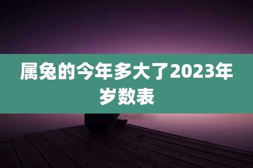 属兔的今年多大了2023年岁数表