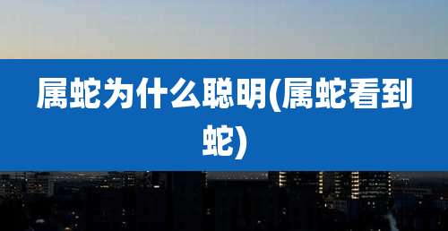 属蛇为什么聪明(属蛇看到蛇)