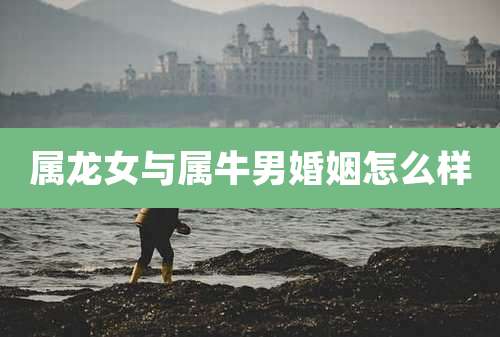 属龙女与属牛男婚姻怎么样