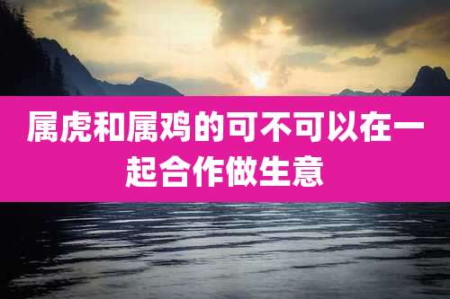 属虎和属鸡的可不可以在一起合作做生意