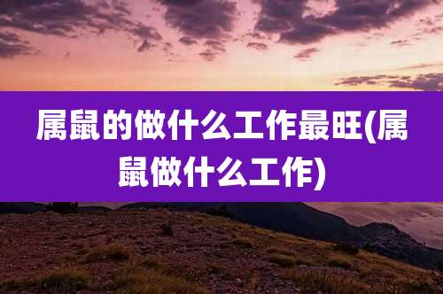 属鼠的做什么工作最旺(属鼠做什么工作)