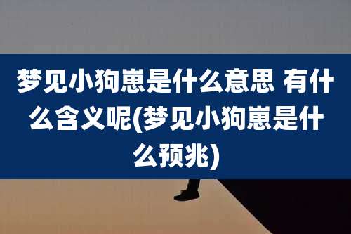 梦见小狗崽是什么意思 有什么含义呢(梦见小狗崽是什么预兆)