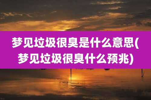 梦见垃圾很臭是什么意思(梦见垃圾很臭什么预兆)