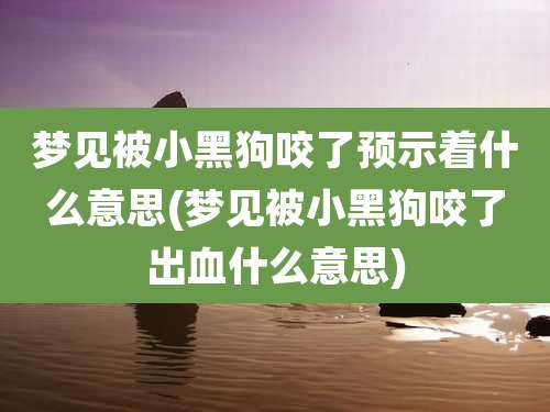 梦见被小黑狗咬了预示着什么意思(梦见被小黑狗咬了出血什么意思)