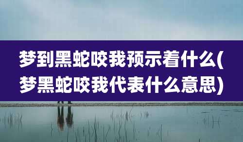 梦到黑蛇咬我预示着什么(梦黑蛇咬我代表什么意思)