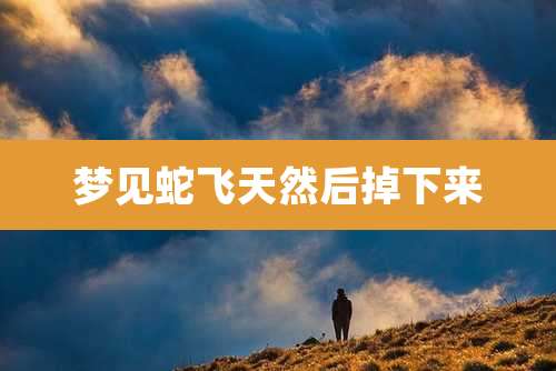 梦见蛇飞天然后掉下来