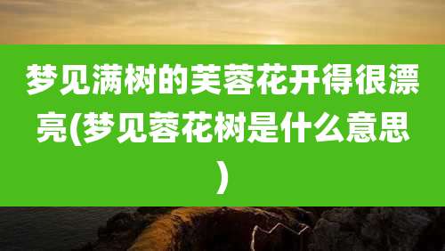 梦见满树的芙蓉花开得很漂亮(梦见蓉花树是什么意思)