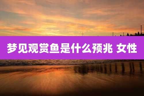 梦见观赏鱼是什么预兆 女性