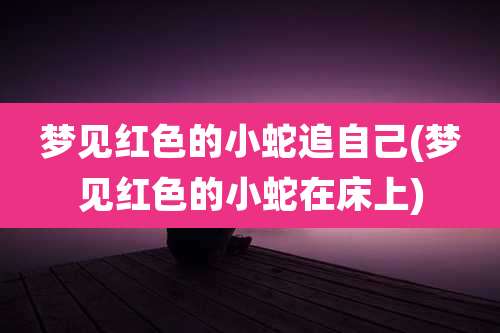 梦见红色的小蛇追自己(梦见红色的小蛇在床上)