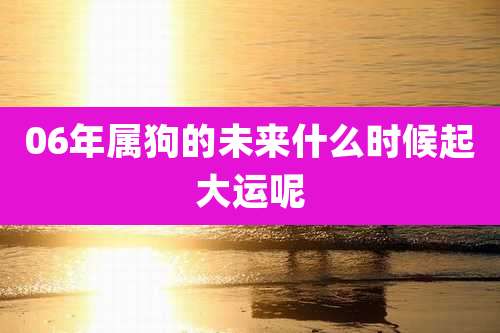 06年属狗的未来什么时候起大运呢