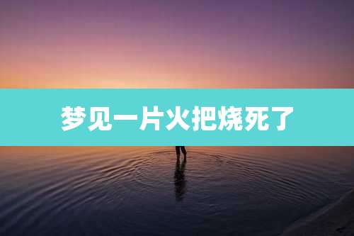 梦见一片火把烧死了