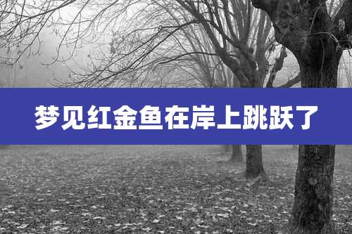 梦见红金鱼在岸上跳跃了