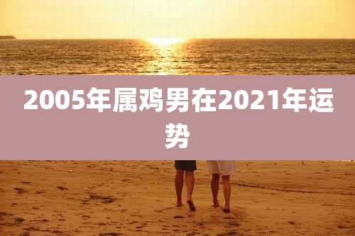 2005年属鸡男在2021年运势