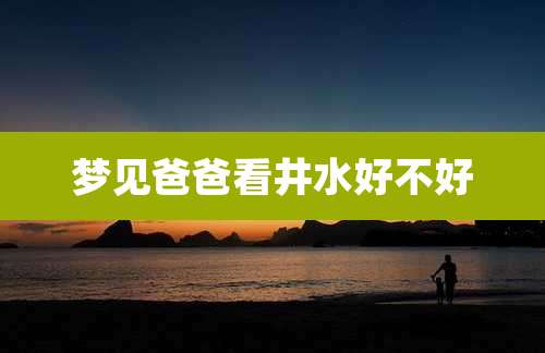 梦见爸爸看井水好不好