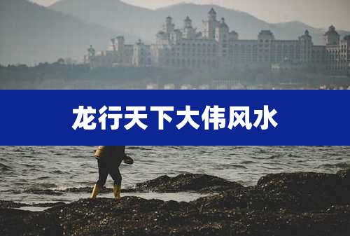 龙行天下大伟风水