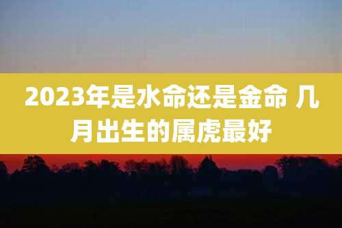 2023年是水命还是金命 几月出生的属虎最好