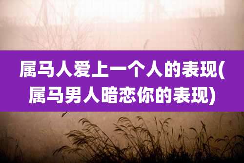 属马人爱上一个人的表现(属马男人暗恋你的表现)