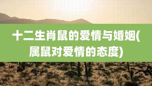 十二生肖鼠的爱情与婚姻(属鼠对爱情的态度)