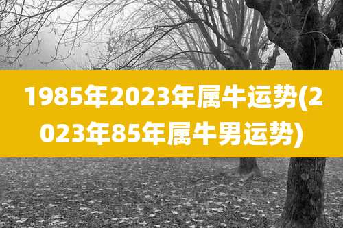 1985年2023年属牛运势(2023年85年属牛男运势)
