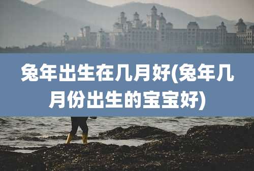 兔年出生在几月好(兔年几月份出生的宝宝好)