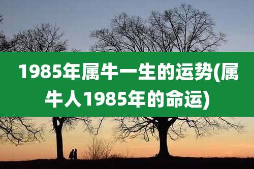 1985年属牛一生的运势(属牛人1985年的命运)