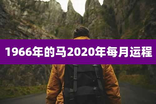 1966年的马2020年每月运程